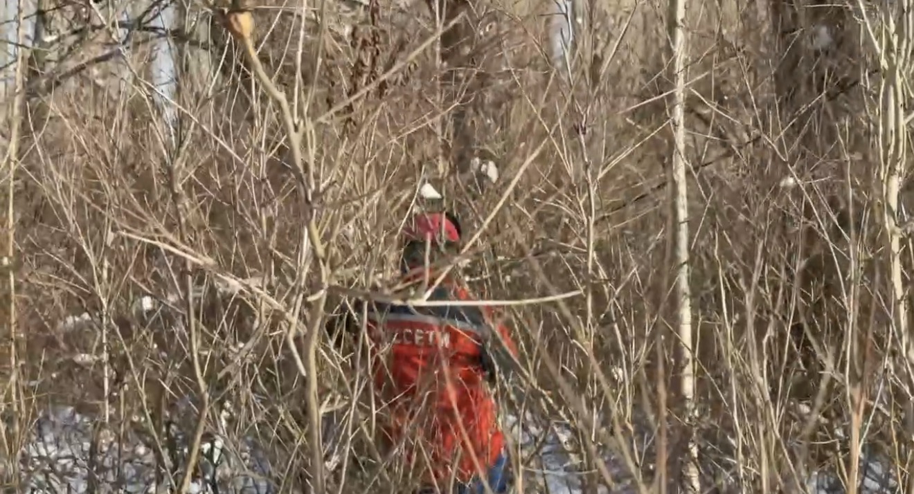 Работу энергетиков зачастую осложняют не только неблагоприятные погодные условия, но и густая растительность.